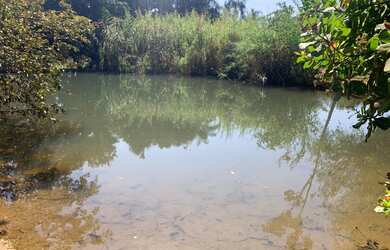 Imagem 2: Chácara Goiânia Residencial Triumfo