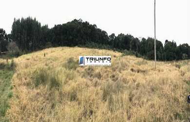 Imagem 4: SITIO RURAL em Igrejinha - RS, Serra Grande