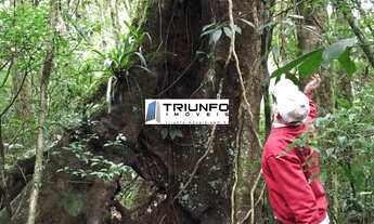 Imagem 5: SITIO RURAL em Igrejinha - RS, Serra Grande