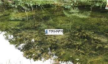 Imagem 6: SITIO RURAL em Igrejinha - RS, Serra Grande