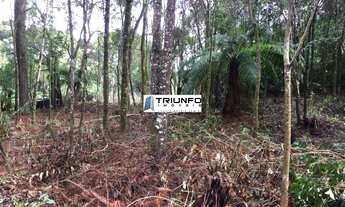 Imagem 7: SITIO RURAL em Igrejinha - RS, Serra Grande