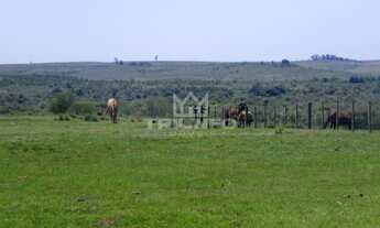 Imagem 2: FAZENDA RURAL em Quaraí - RS, Municipio de Quaraí