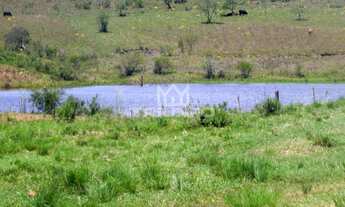Imagem 4: FAZENDA RURAL em Quaraí - RS, Municipio de Quaraí