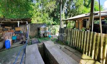 Imagem 7: PONTO COMERCIAL em Três Coroas - RS, Centro