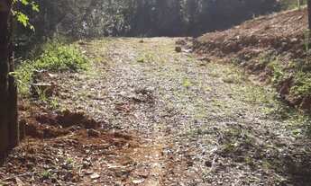 Imagem 5: TERRENO RESIDENCIAL em Gramado - RS, Linha Araripe