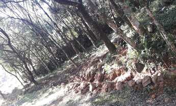 Imagem 3: TERRENO RESIDENCIAL em Gramado - RS, Linha Araripe