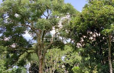 Imagem 4: SITIO RURAL em Três Coroas - RS, Serra Grande