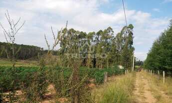 Imagem 2: SITIO RURAL em Triunfo - RS, Distrito de Porto Batista