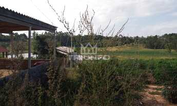 Imagem 3: SITIO RURAL em Triunfo - RS, Distrito de Porto Batista