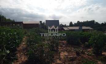 Imagem 4: SITIO RURAL em Triunfo - RS, Distrito de Porto Batista