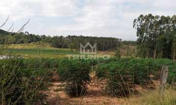 Imagem 5: SITIO RURAL em Triunfo - RS, Distrito de Porto Batista