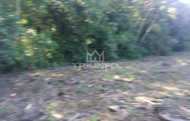 Imagem 4: SITIO RURAL em Araricá - RS, Sassá Mutema