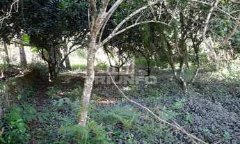 Imagem 7: TERRENO RESIDENCIAL em Três Coroas - RS, Águas Brancas