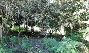 Imagem 4: TERRENO RESIDENCIAL em Três Coroas - RS, Águas Brancas