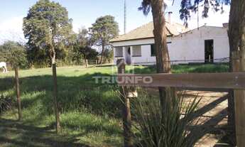 Imagem: SITIO RURAL em Bagé - RS, Arvorezinha