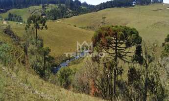 Imagem: ÁREA DE TERRA EM CAMBARÁ DO SUL