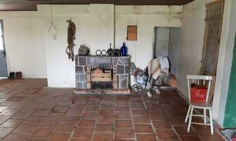 Imagem 4: SITIO RURAL em Bagé - RS, Arvorezinha