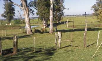 Imagem: Sitio RURAL em Bagé - RS, Rural