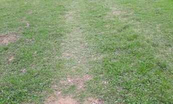 Imagem 3: SITIO RESIDENCIAL em Bagé - RS, Passo do Peres