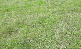 Imagem 6: SITIO RESIDENCIAL em Bagé - RS, Passo do Peres