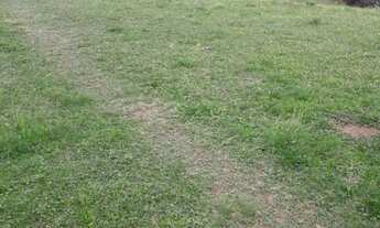 Imagem 2: SITIO RESIDENCIAL em Bagé - RS, Passo do Peres