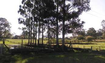 Imagem 3: Sitio RURAL em Bagé - RS, Rural