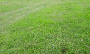 Imagem 4: SITIO RESIDENCIAL em Bagé - RS, Passo do Peres