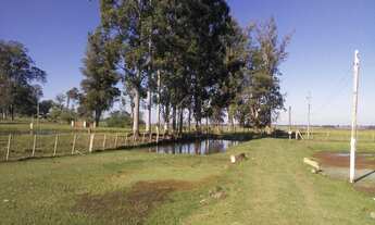 Imagem 4: Sitio RURAL em Bagé - RS, Rural