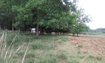 Imagem 6: Sitio COMERCIAL em Hulha Negra - RS, Central