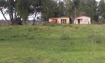 Imagem: Sitio RURAL em Bagé - RS, Zona Rural