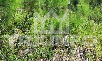 Imagem 7: TERRENO EM TRÊS COROAS