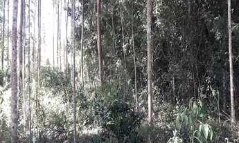 Imagem 3: SITIO RURAL em Igrejinha - RS, Bom Pastor