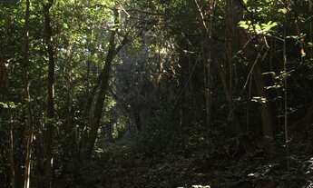 Imagem 6: SITIO RURAL em Igrejinha - RS, Solitária