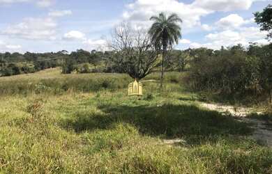 Imagem 5: Terreno em Caracois - Esmeraldas