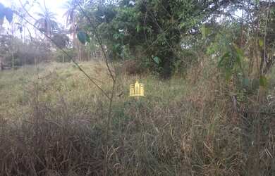 Imagem 4: Lote no bairro Cidade Jardim - Esmeraldas