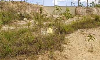 Imagem 2: Lote no bairro Parque Novo Ceasa - Esmeraldas