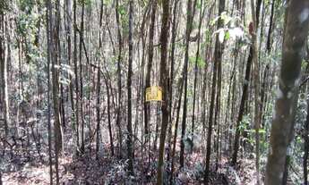 Imagem 4: Fazendinha em Esmeraldas