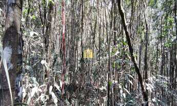 Imagem 3: Fazendinha em Esmeraldas