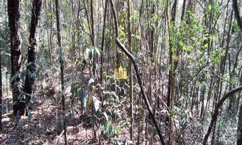 Imagem 5: Fazendinha em Esmeraldas