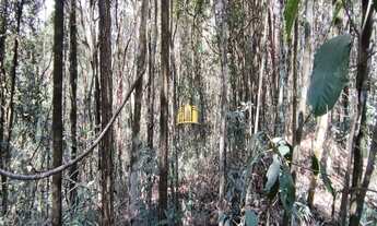 Imagem 6: Fazendinha em Esmeraldas