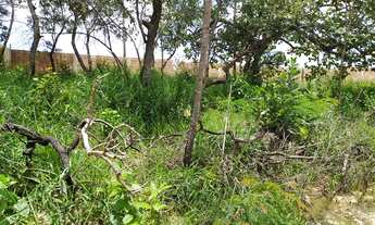 Imagem 5: OPORTUNIDADE!!! Espetacular Sitio Comercial à venda em Monjoulinhos, Esmeraldas-MG: 3 quar