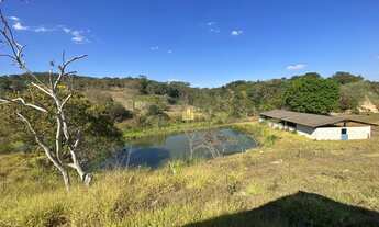 Imagem: Oportunidade! Fazenda Comercial em Caio