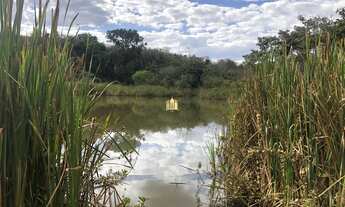 Imagem: Oportunidade!!! Sitio à venda no Encontro