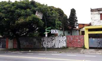 Imagem 2: Terreno à venda, Vila Nova Cachoeirinha - Ótima Oportubnidade