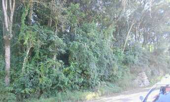 Imagem 3: TERRENO RESIDENCIAL em Nova Petrópolis - RS, Juriti