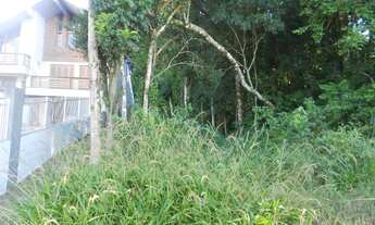 Imagem 4: TERRENO RESIDENCIAL em Nova Petrópolis - RS, Juriti