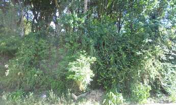 Imagem 5: TERRENO RESIDENCIAL em Nova Petrópolis - RS, Juriti