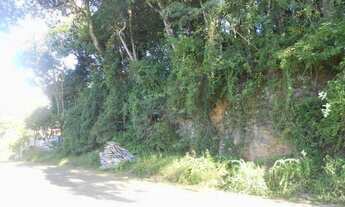 Imagem 6: TERRENO RESIDENCIAL em Nova Petrópolis - RS, Juriti