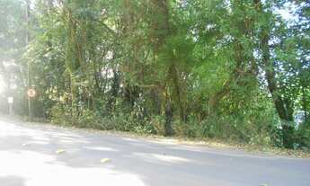 Imagem 7: TERRENO RESIDENCIAL em Nova Petrópolis - RS, Juriti