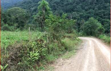 Imagem 2: AREA RURAL em Nova Petrópolis - RS, Linha Pirajá